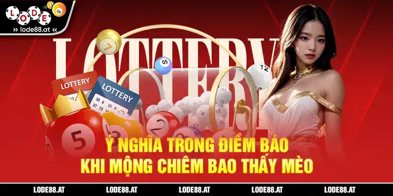 Ý nghĩa trong điềm báo khi mộng chiêm bao thấy mèo